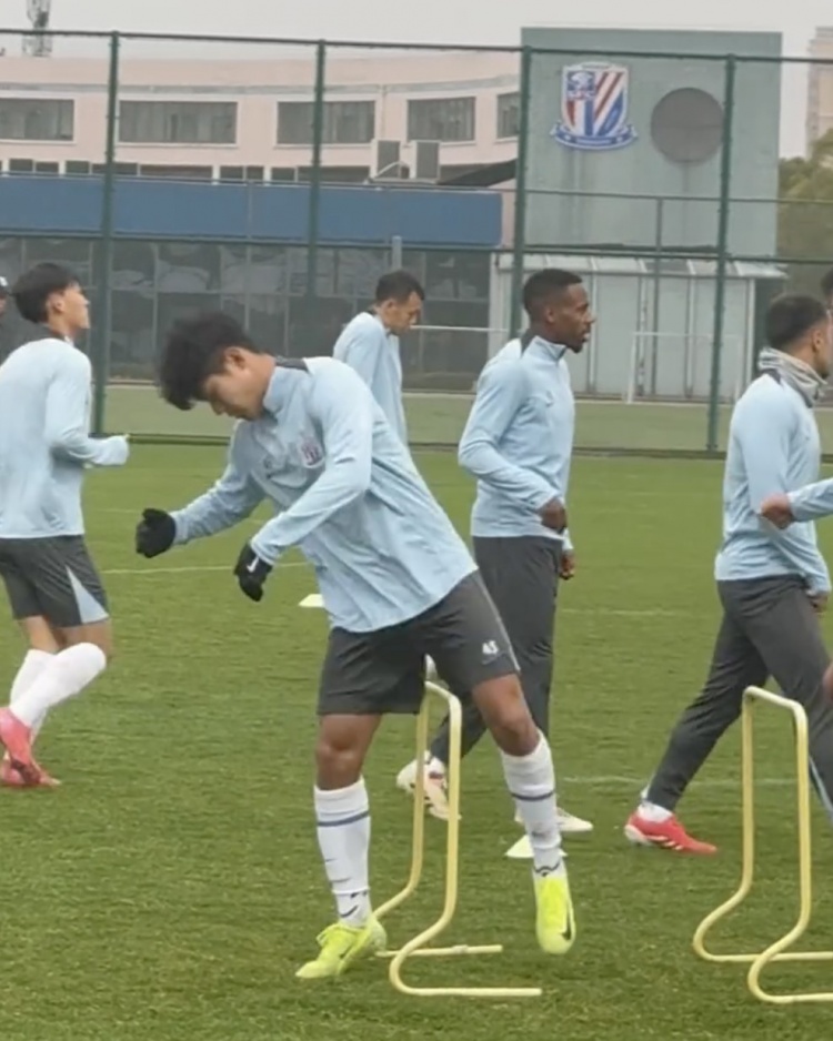  媒體人：明晚申花對陣川崎，鋒線有可能是劉誠宇搭檔米內(nèi)羅